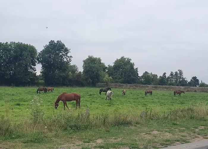 Maison Almati Pres De L'ile Enchantee 度假居 *